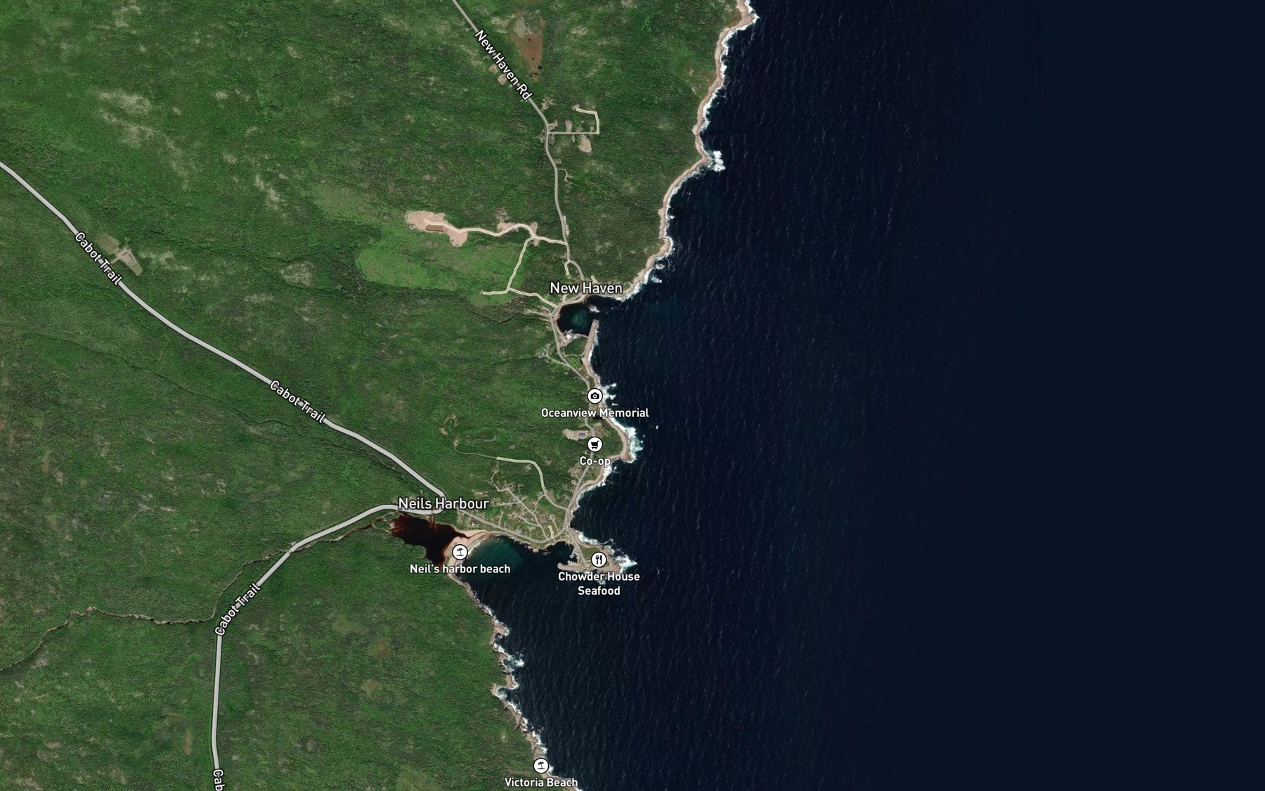 Satellite map of the Back Cove