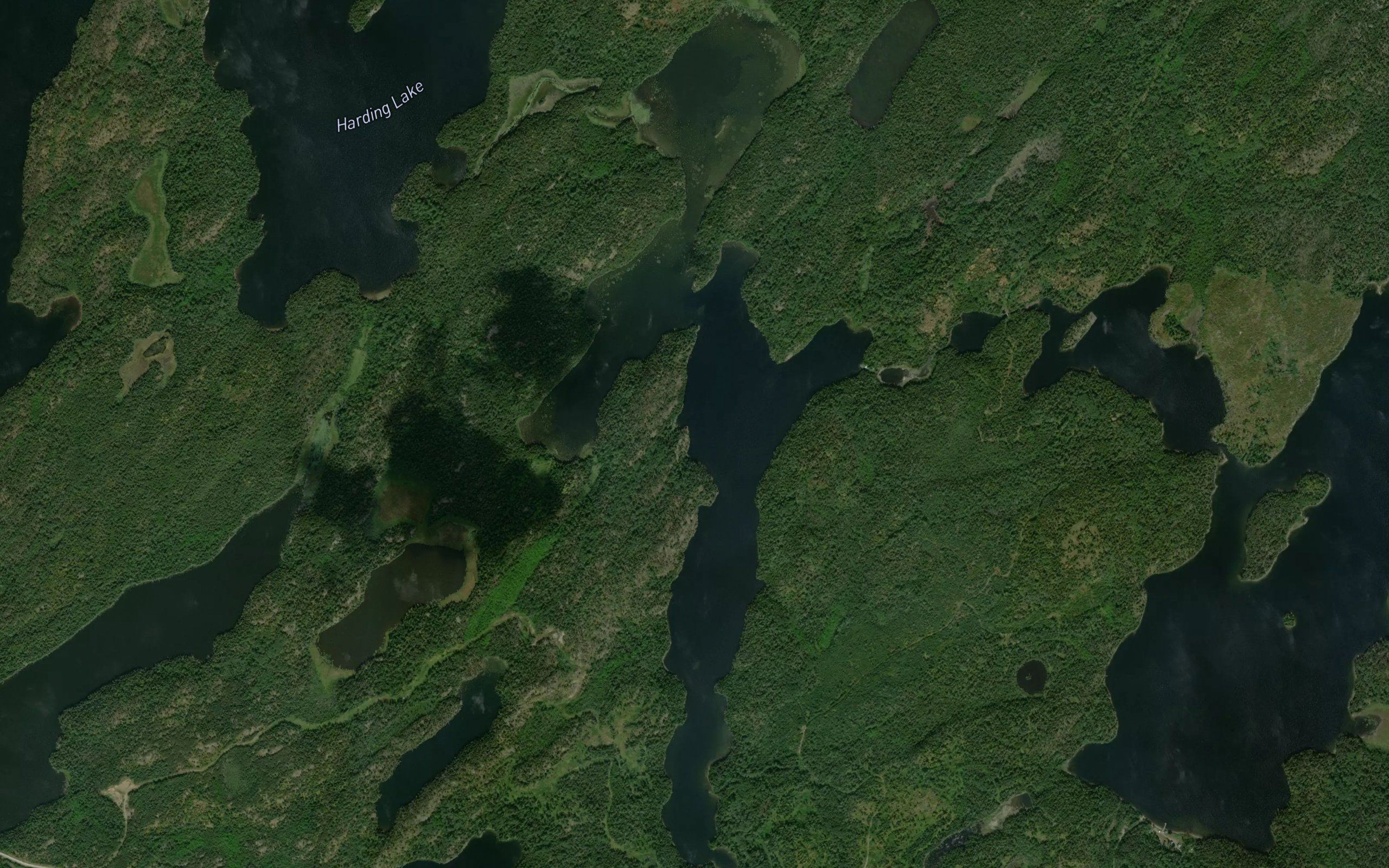 Waterfall Lake