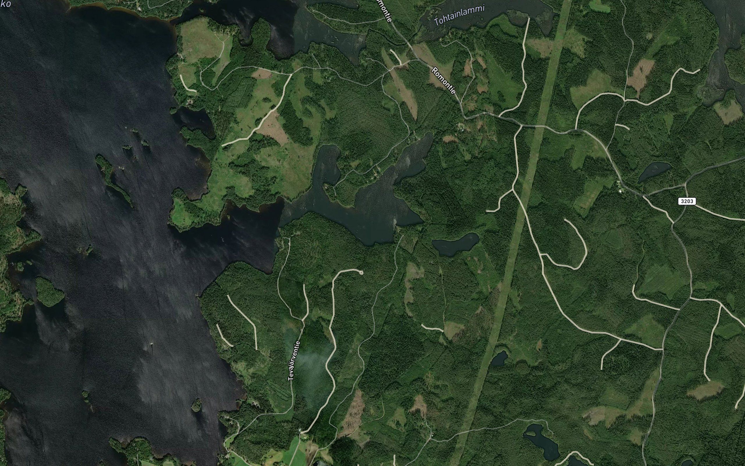 Halkohauta