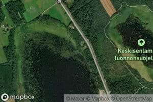Kivioja