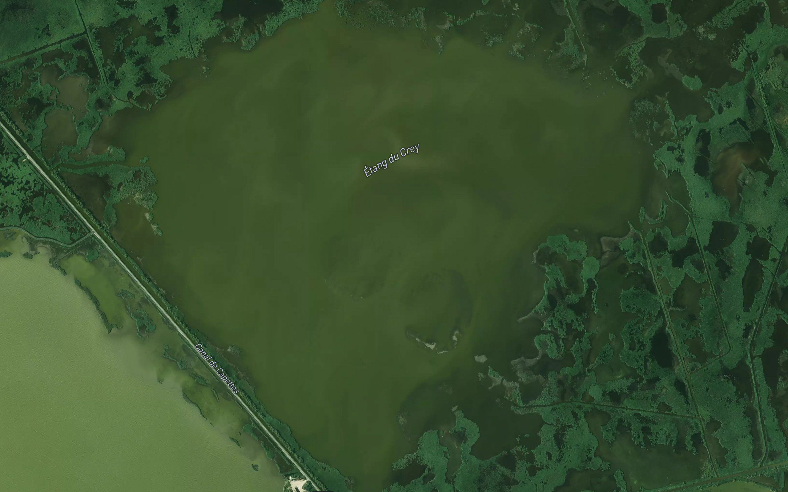 Marais du Crey