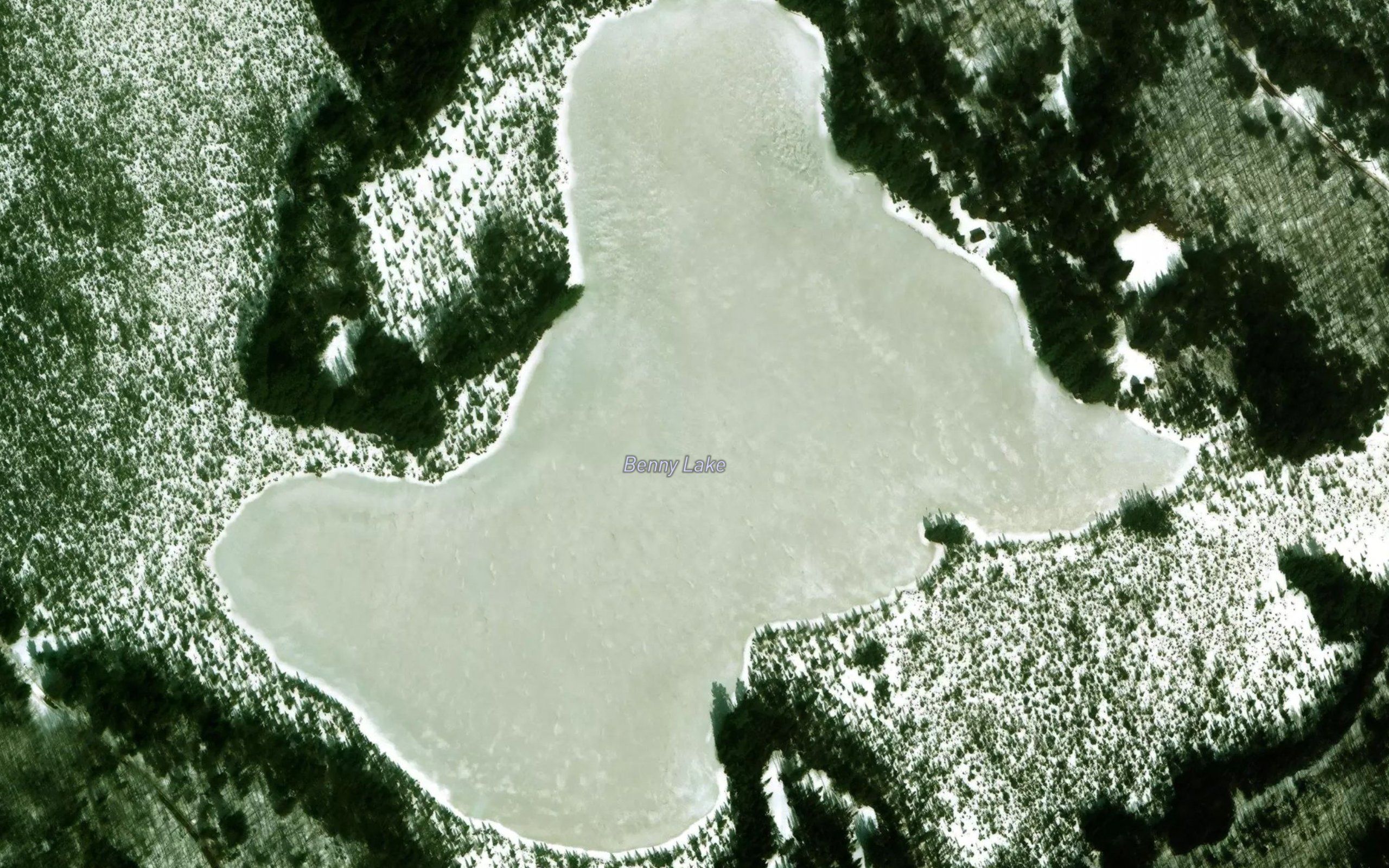 Benny Lake