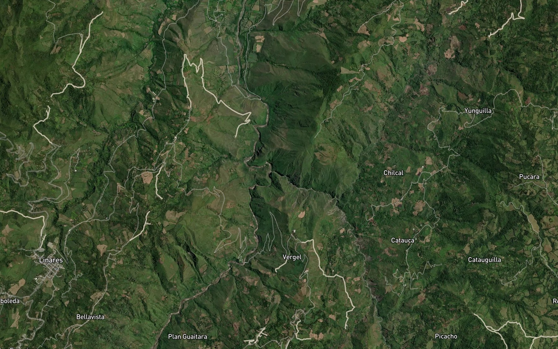 Satellite map of the Quebrada Chacaguaico