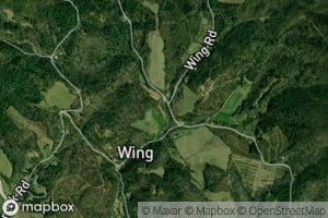 Wing Branch