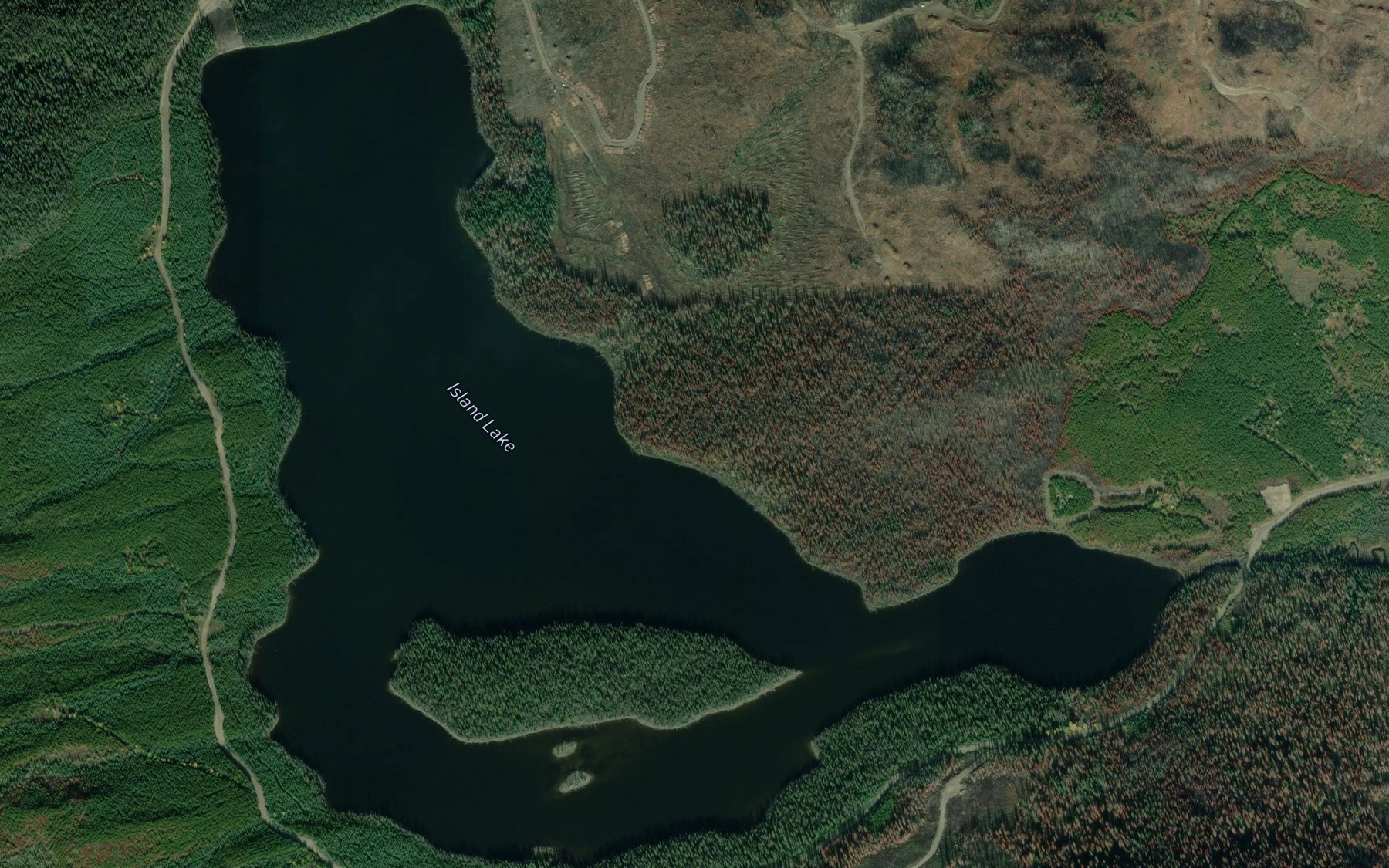 Satellite map of the Island Lake