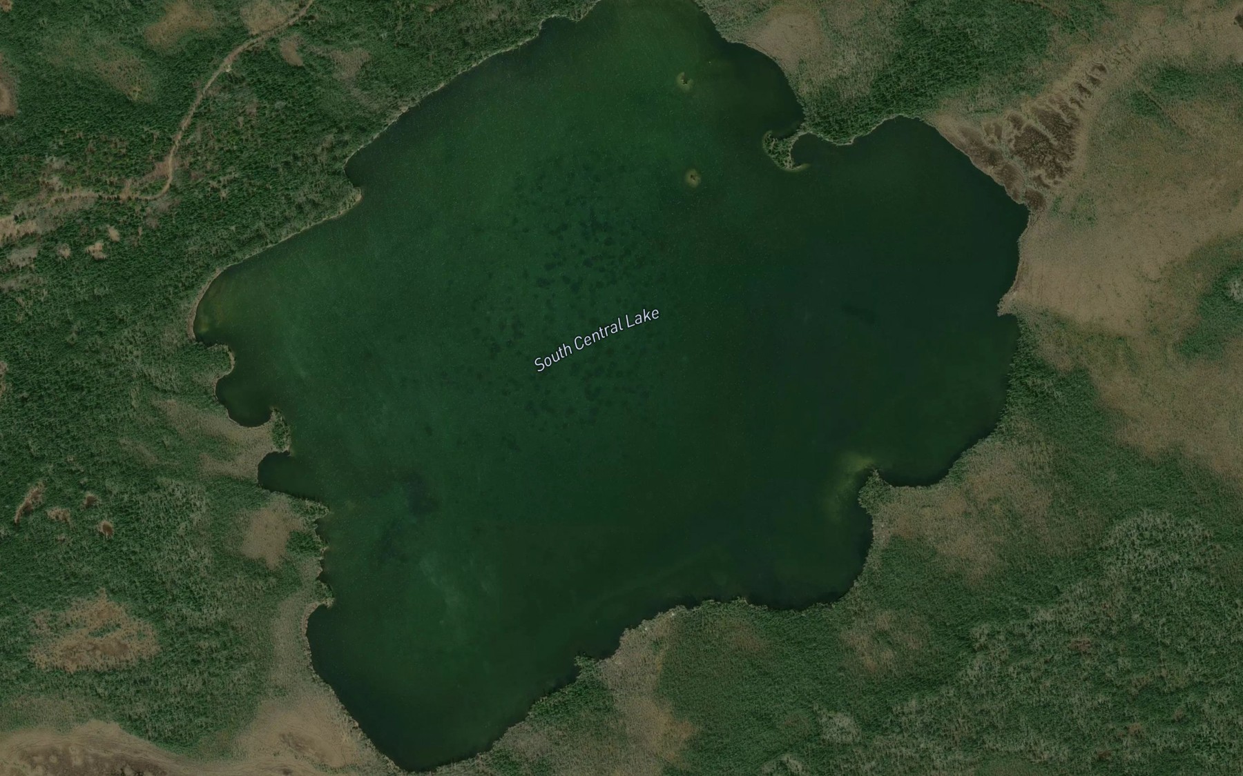 Satellite map of the South Central Lake