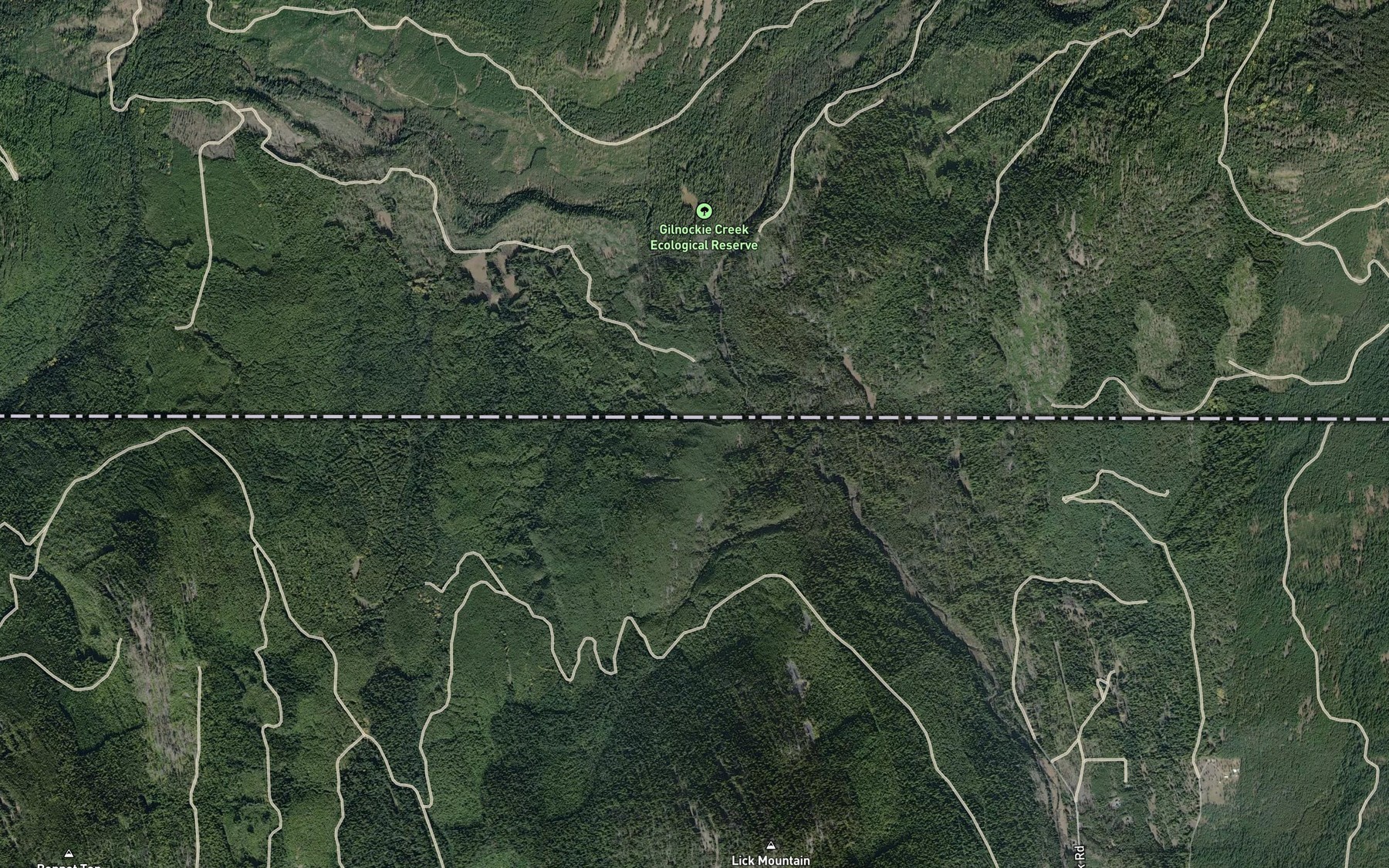 Satellite map of the Gilnockie Creek