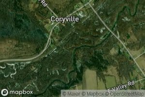Rices Creek