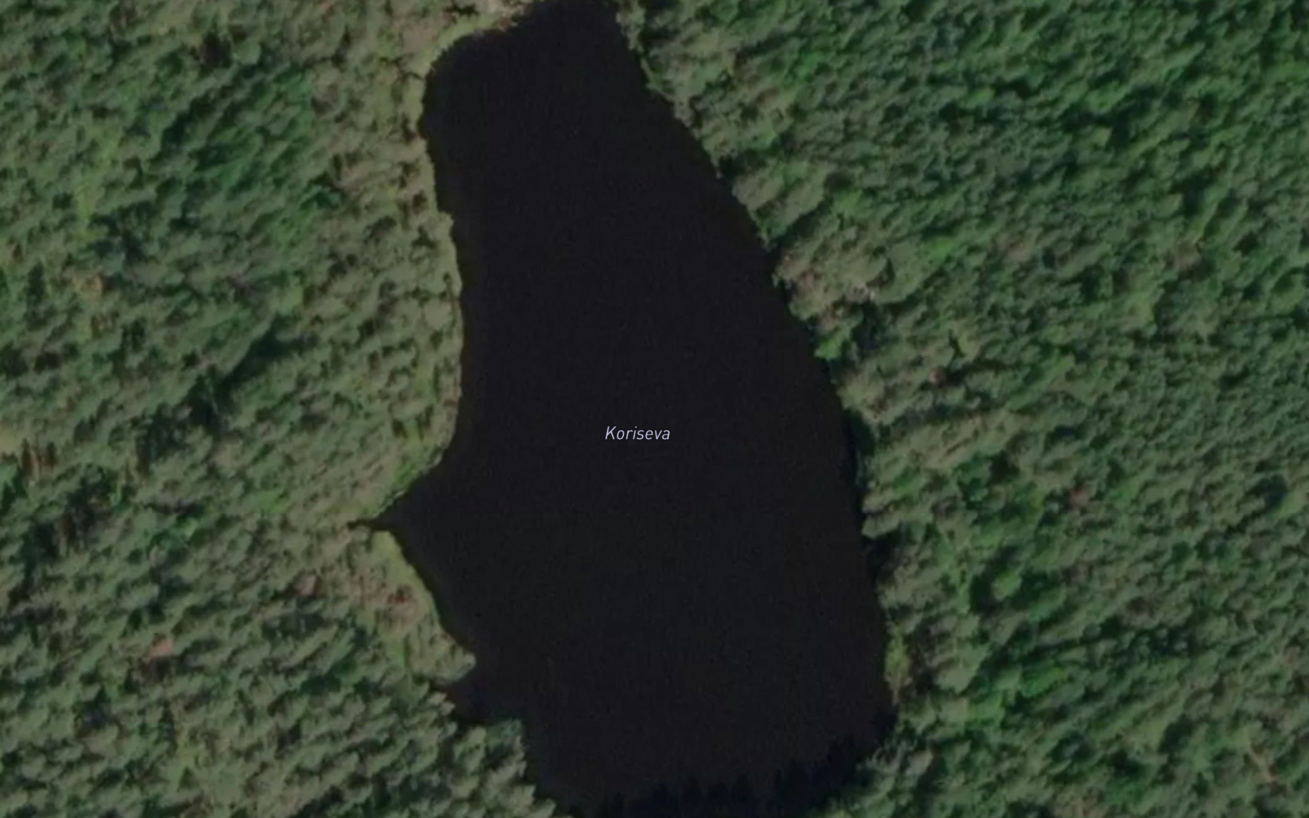 Koriseva