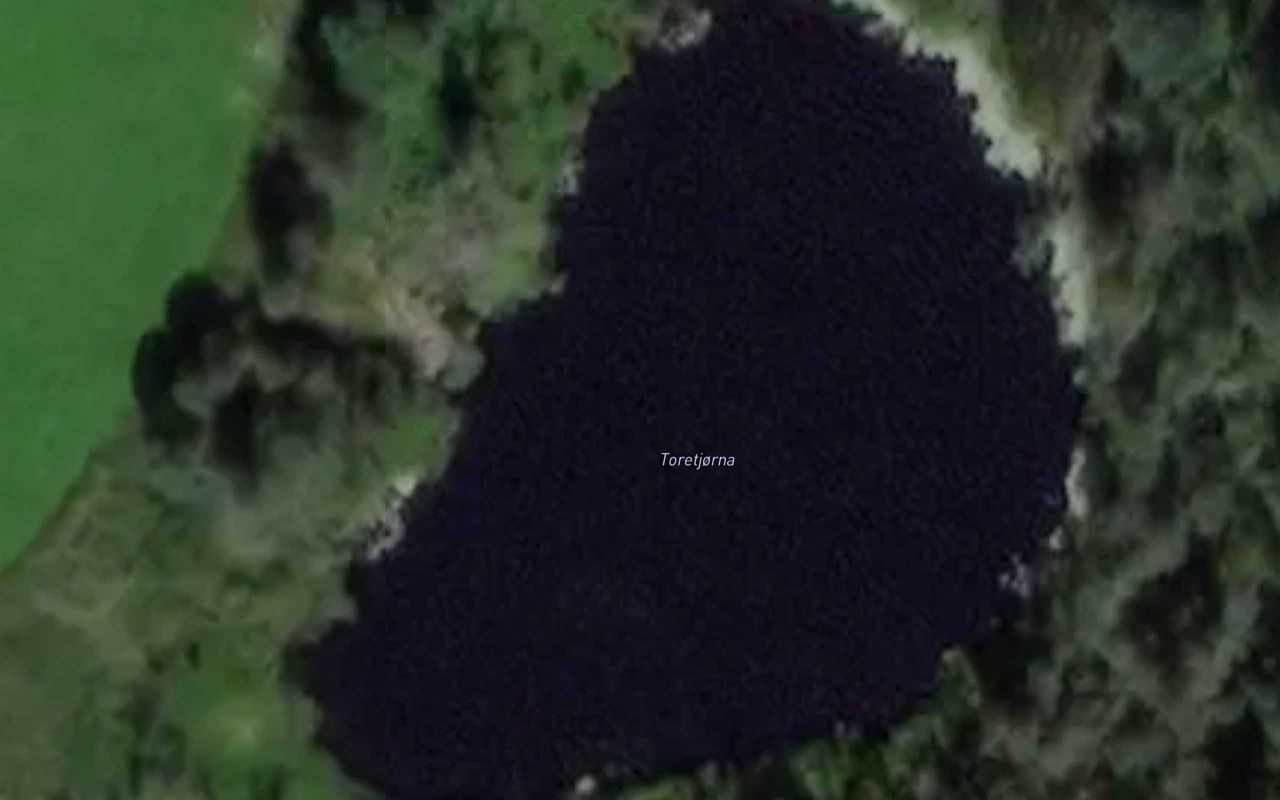 Toretjorn
