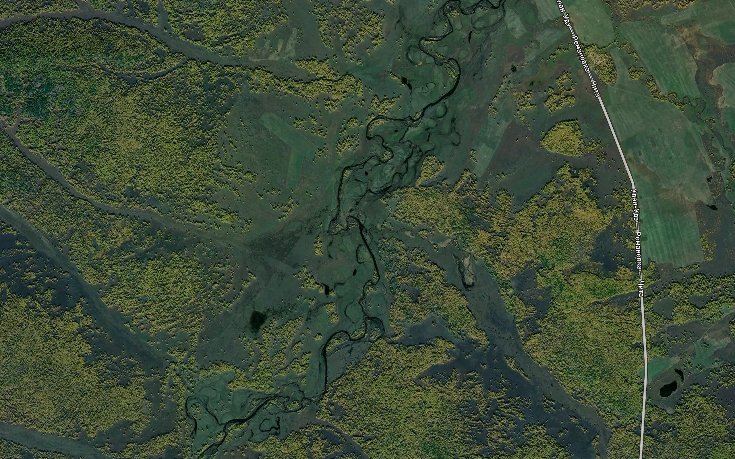Tsiptsiken