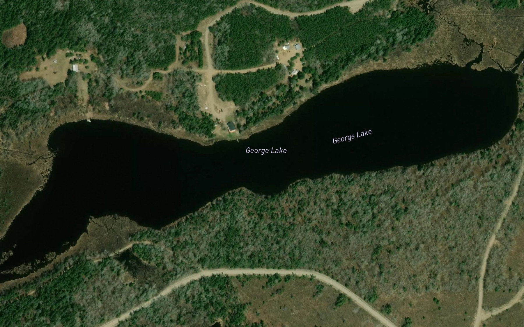 Satellite map of the George Lake