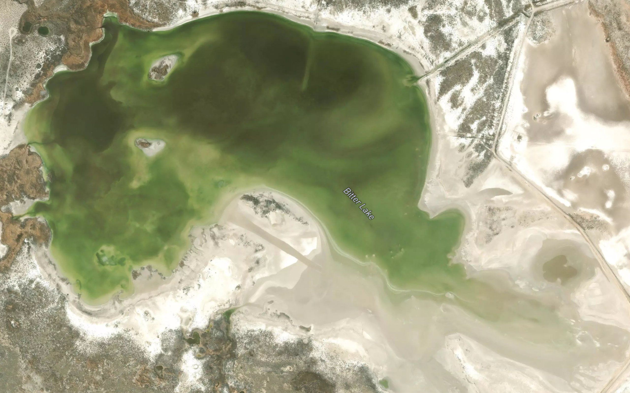 Bitter Lake