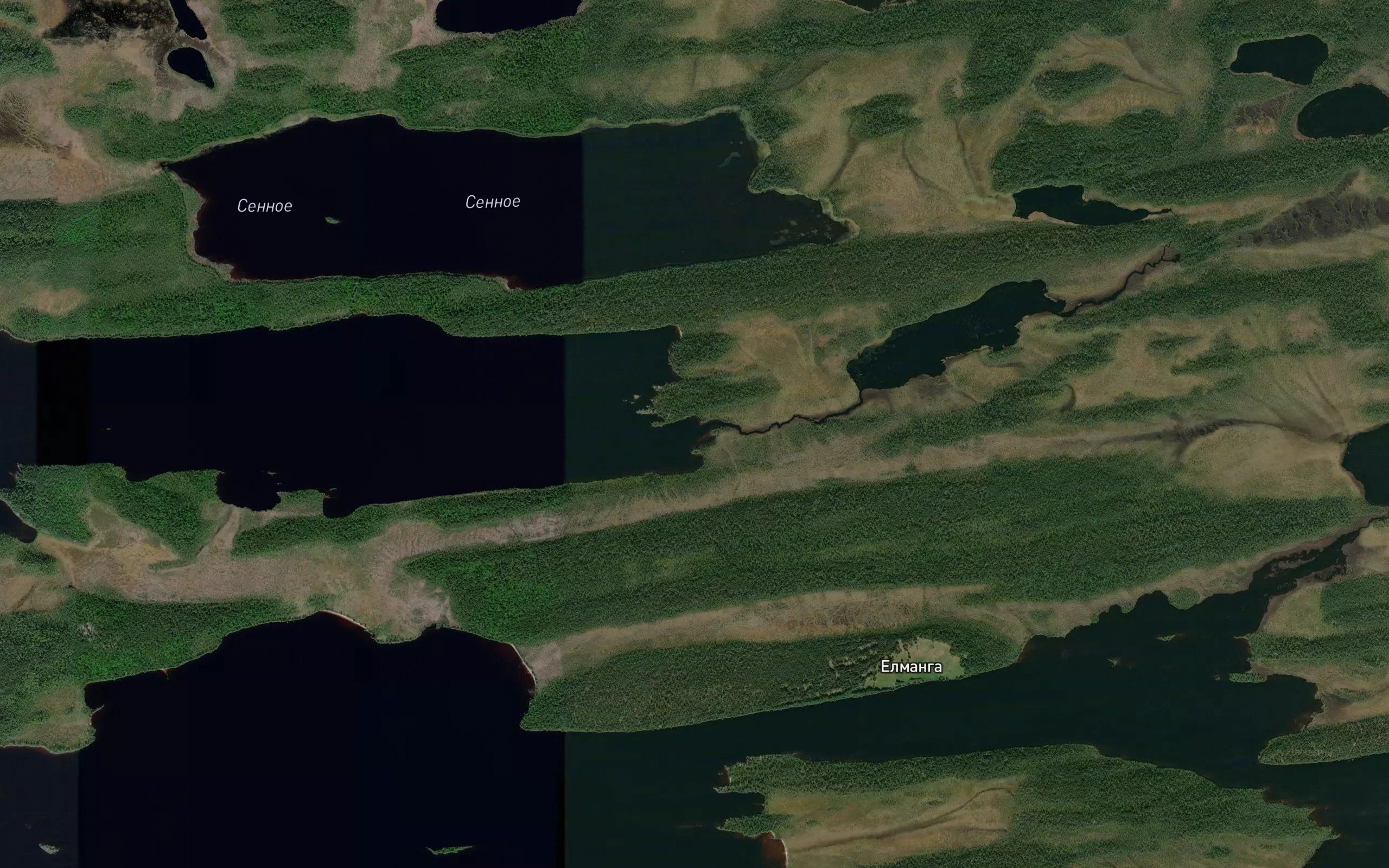 Zadnyaya