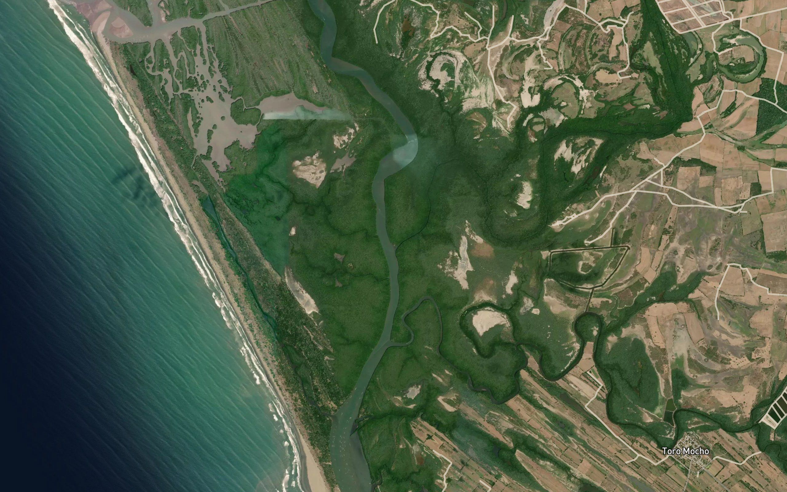 Estero El Ancresito