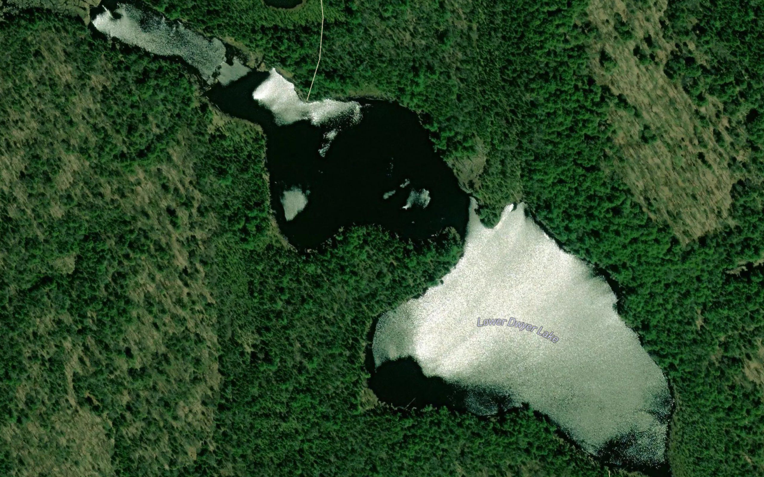 Lower Dwyer Lake