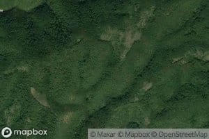 Ogasul Talva Frasinului