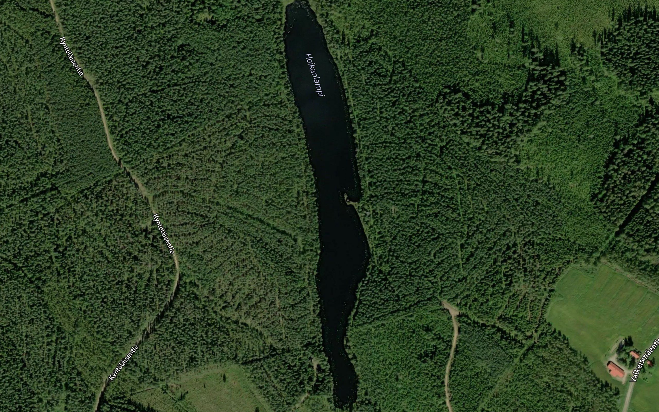 Hoikanlampi