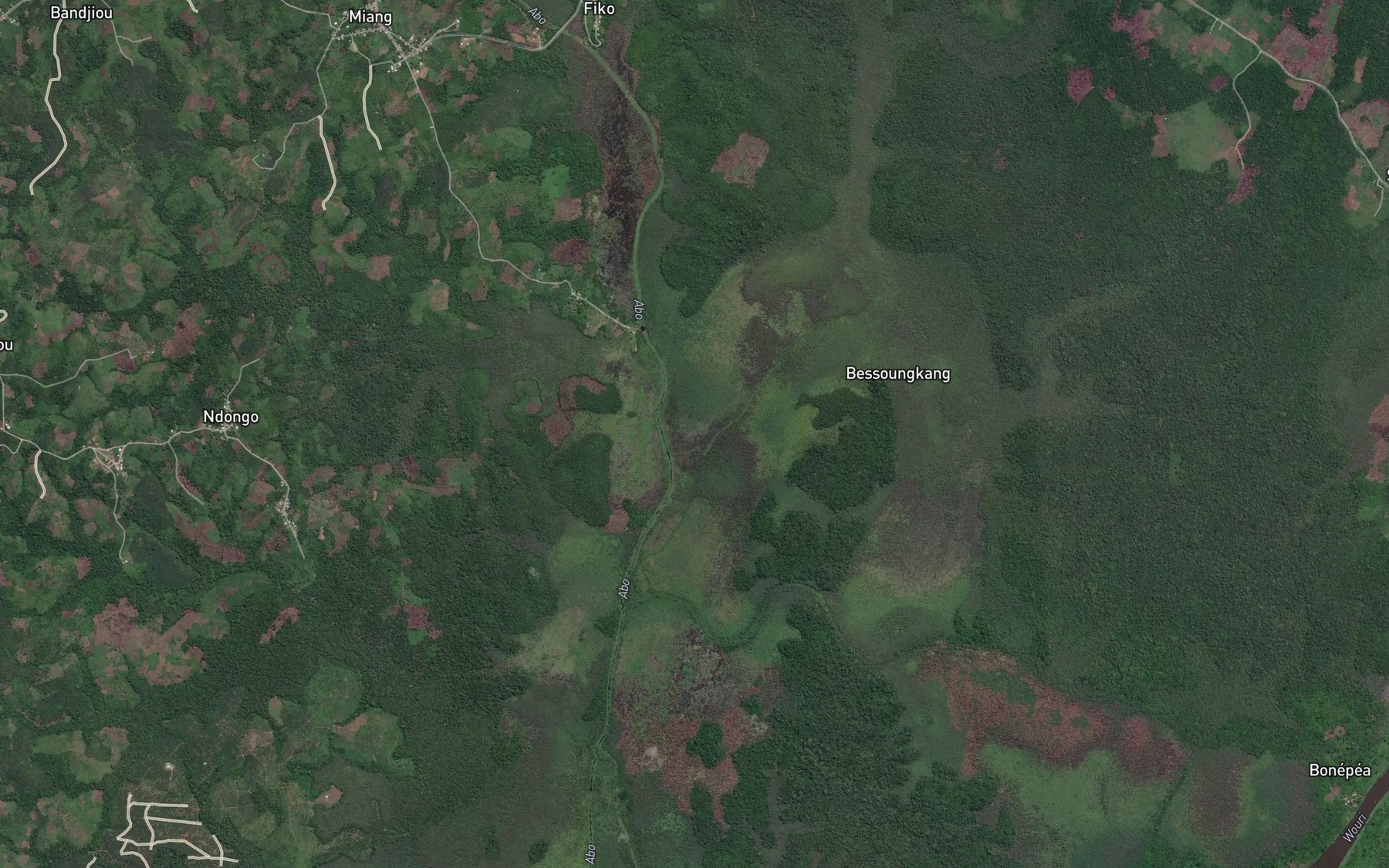 Satellite map of the Ntonghayong