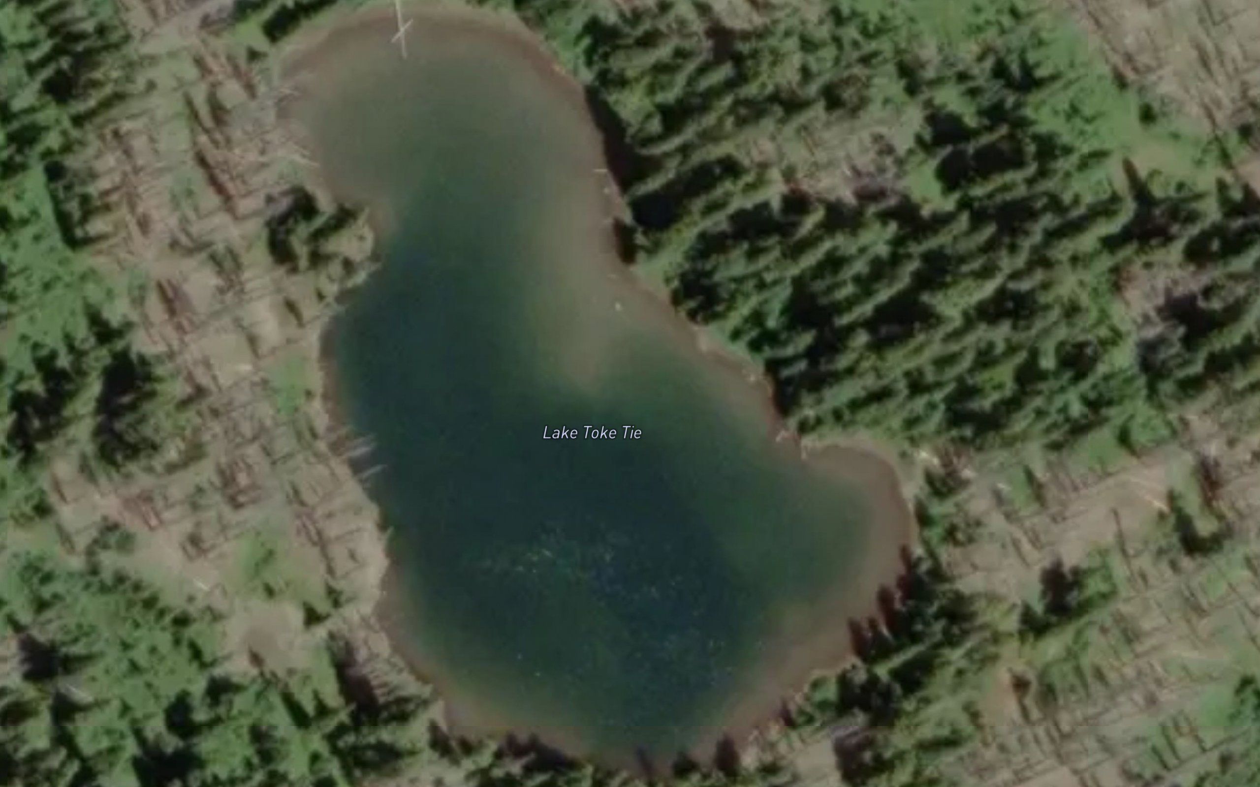 Lake Toke Tie
