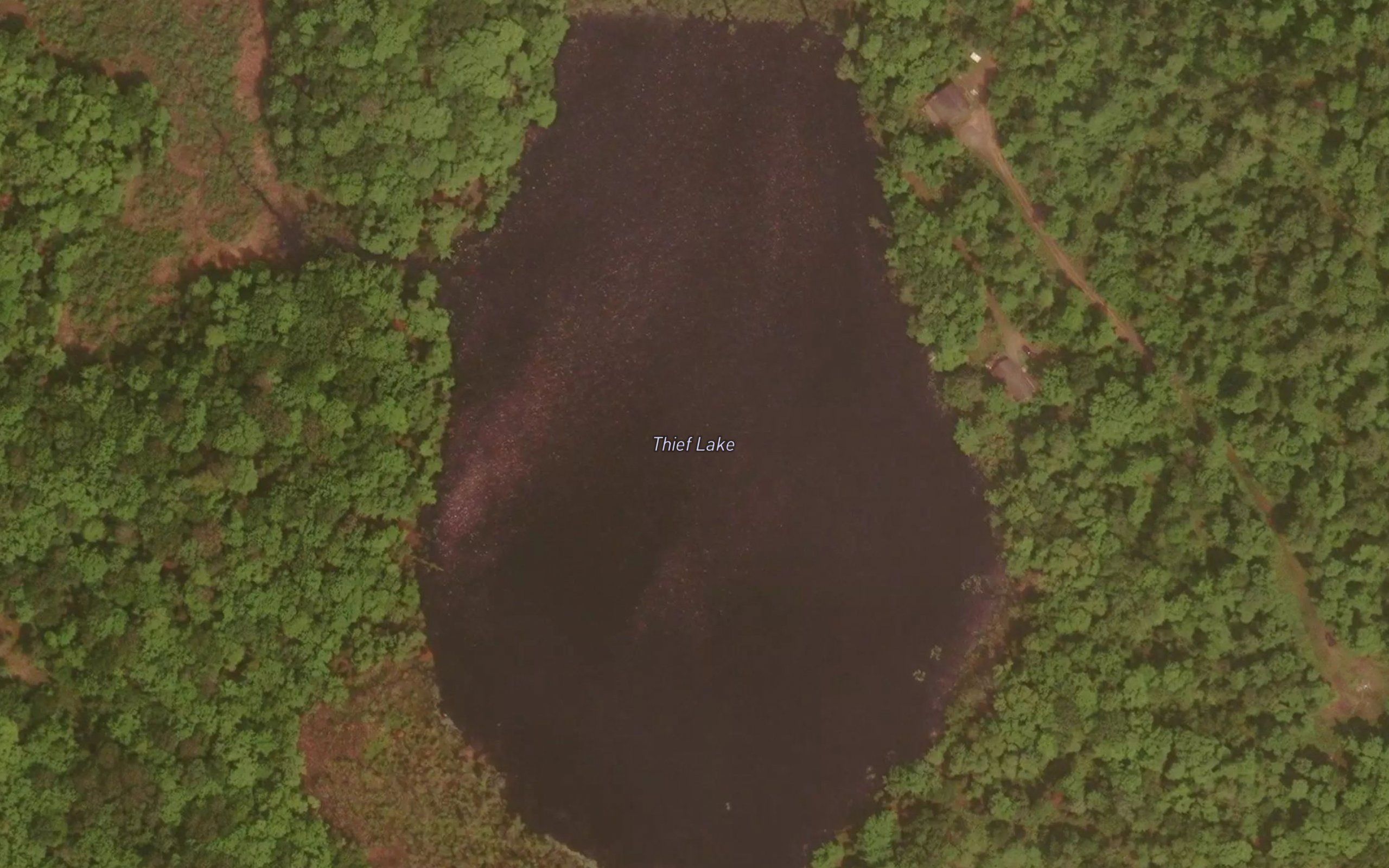 Thief Lake