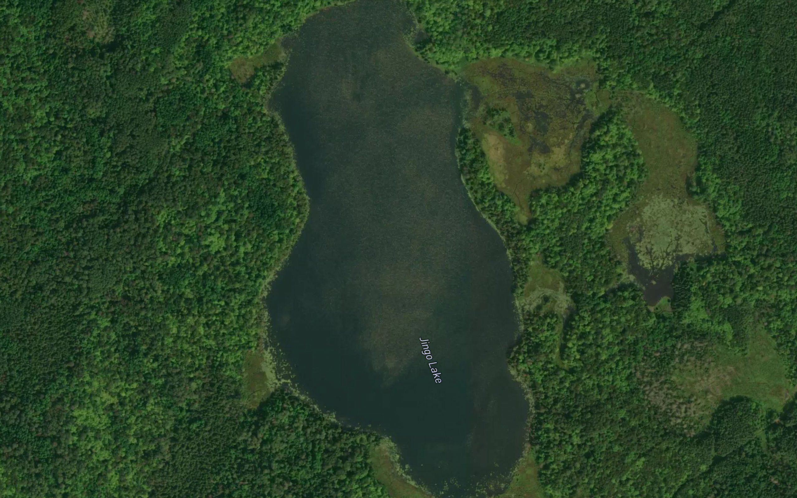 Jingo Lake