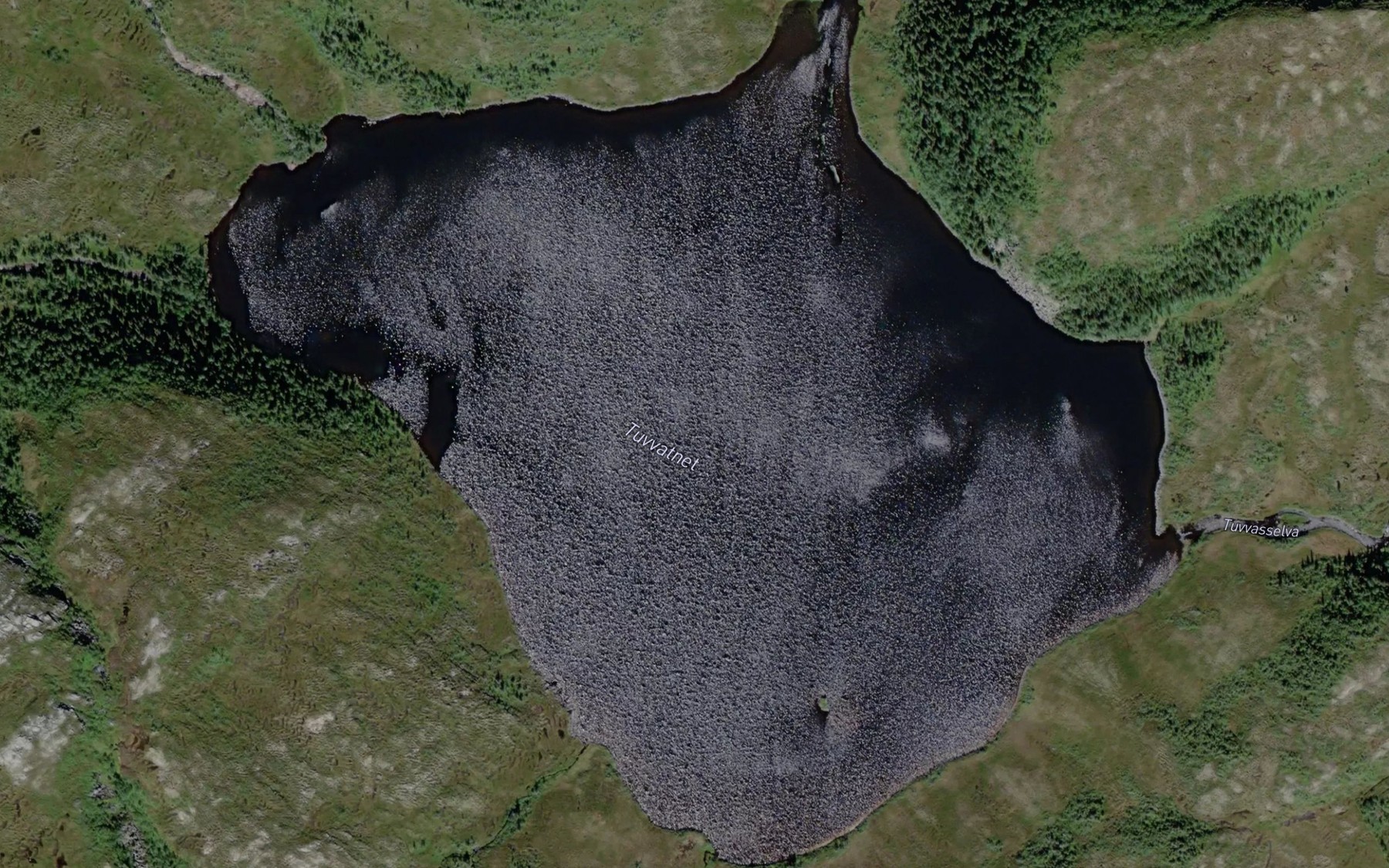 Satellite map of the Tuvvatnet