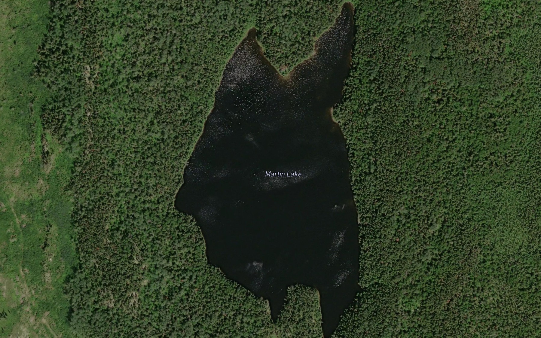 Satellite map of the Martin Lake