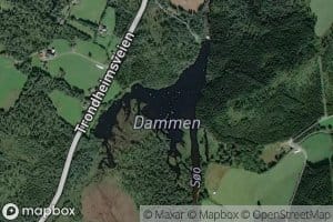 Dammen