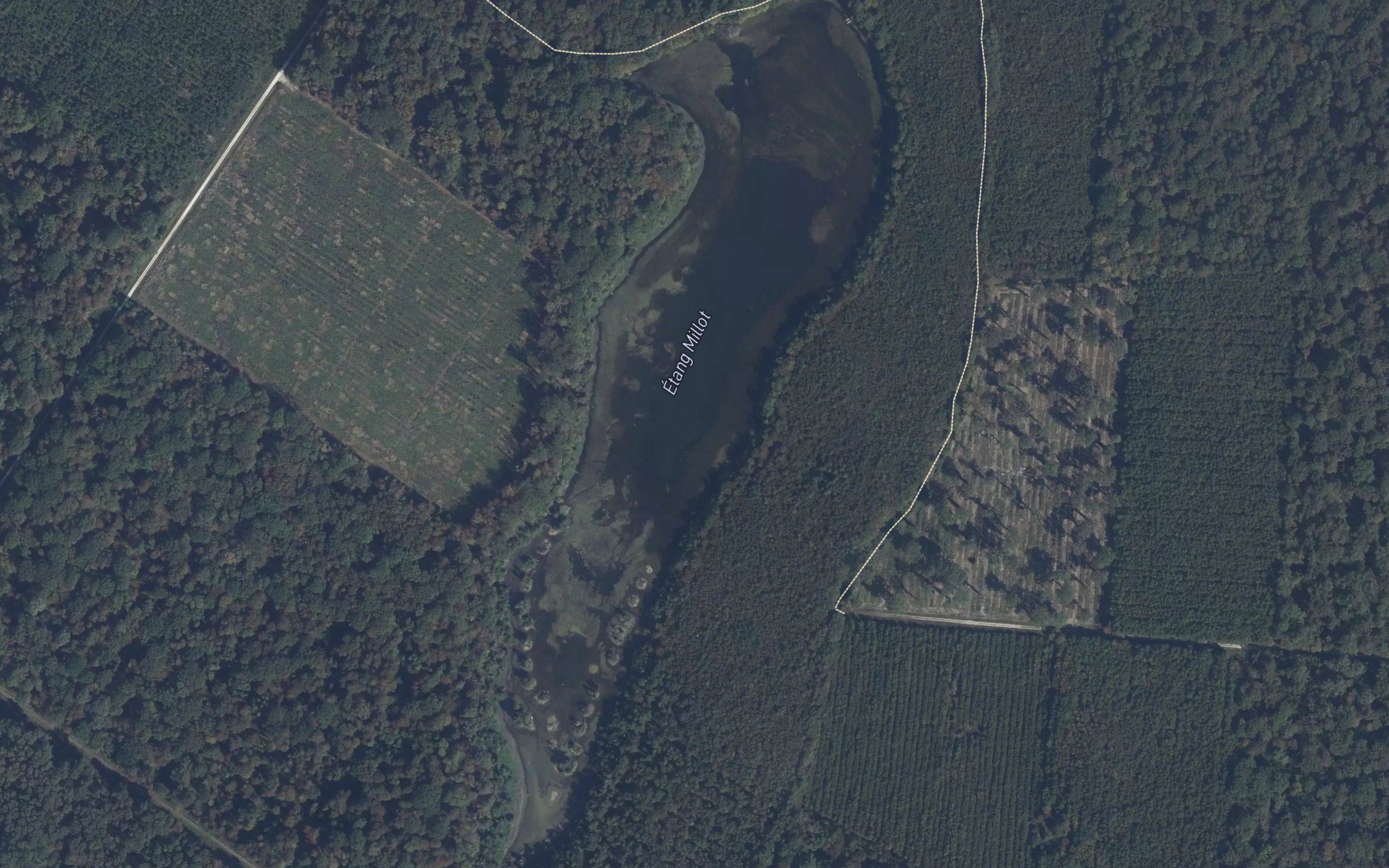 Etang Millot