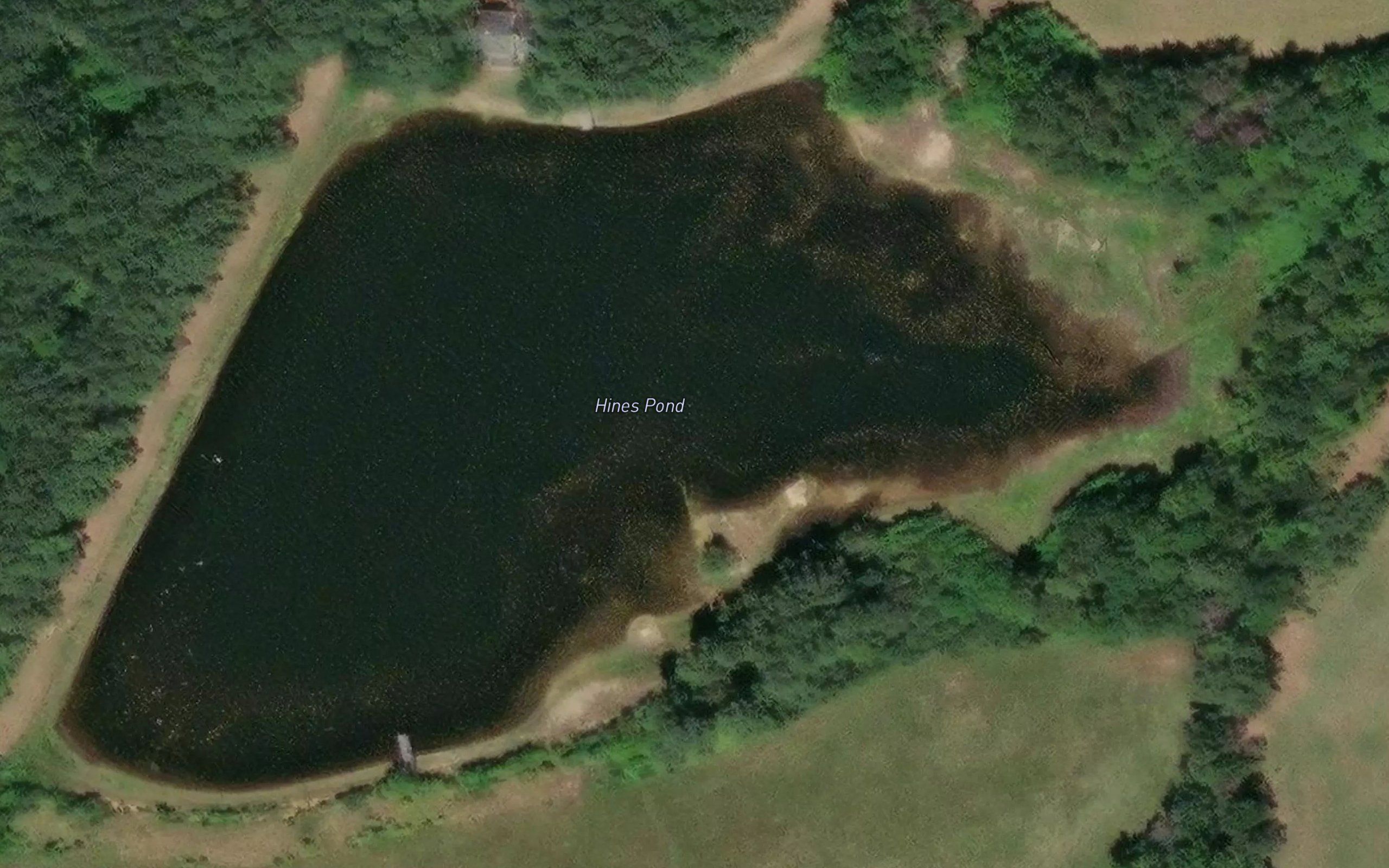 Hines Pond
