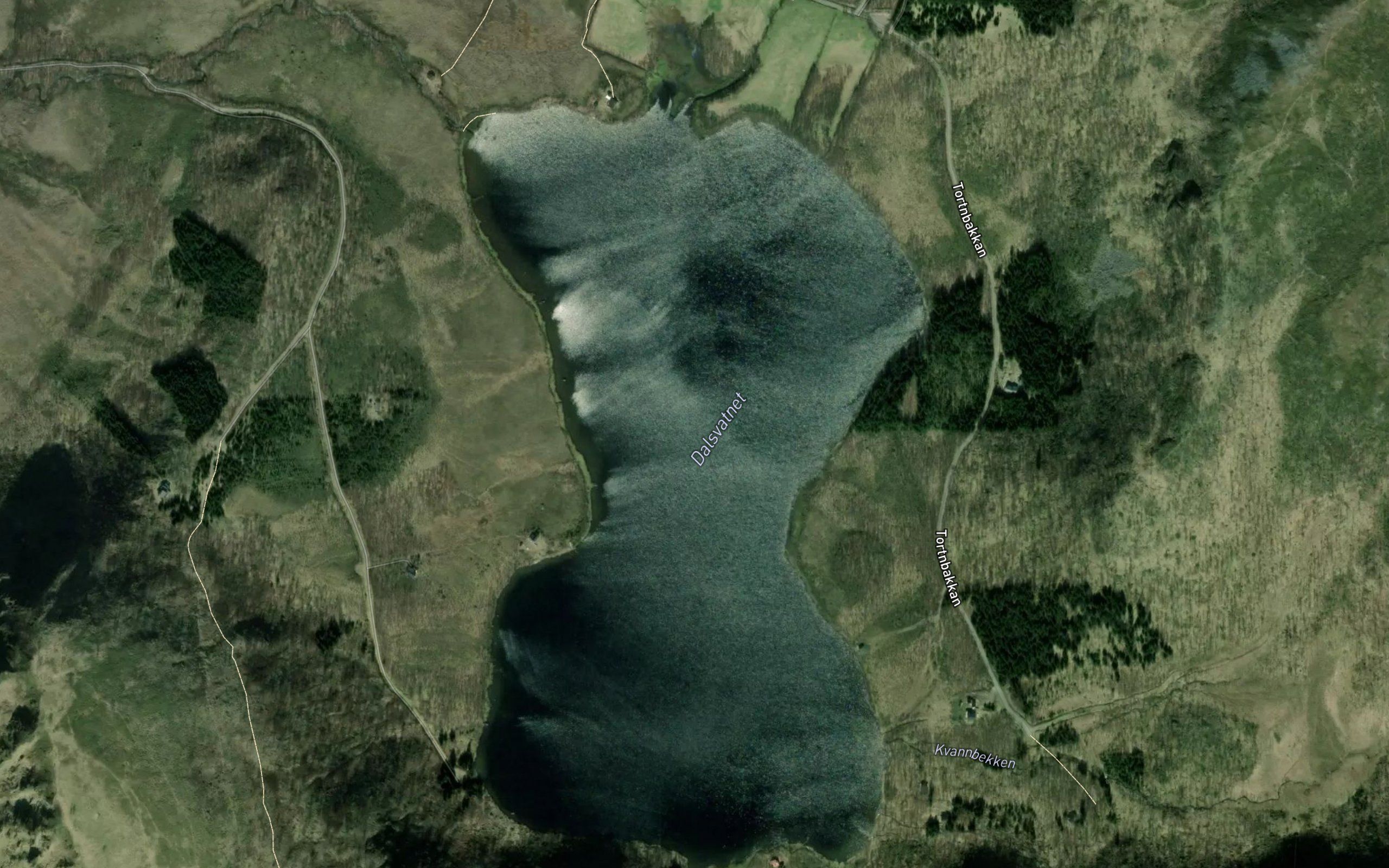 Dalsvatnet