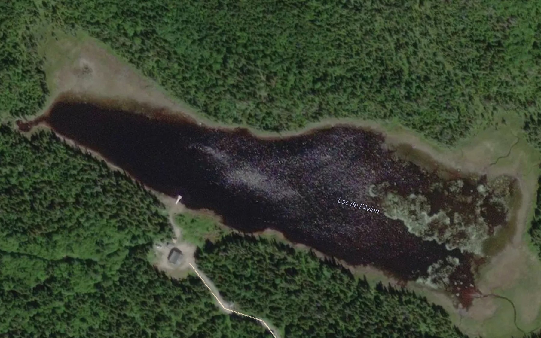 Satellite map of the Lac de l'Avion