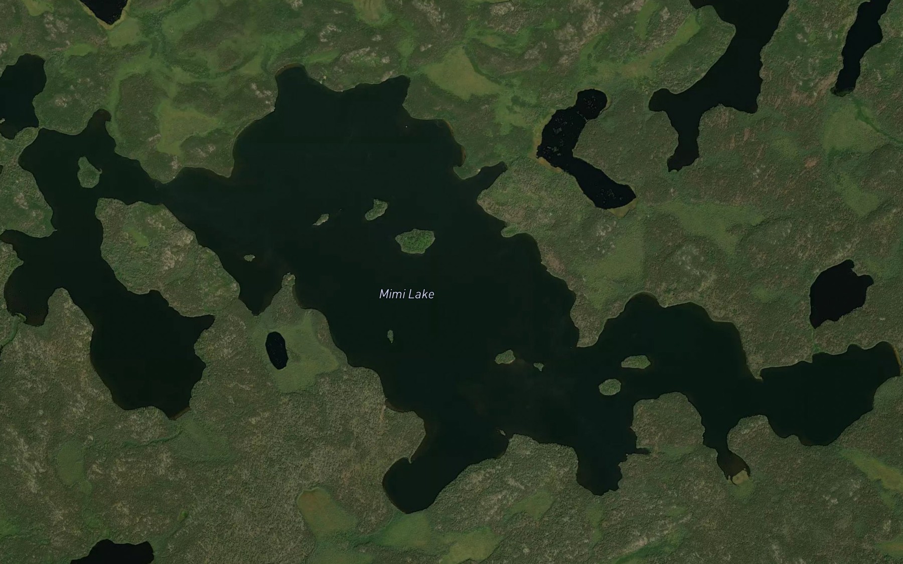 Satellite map of the Mimi Lake