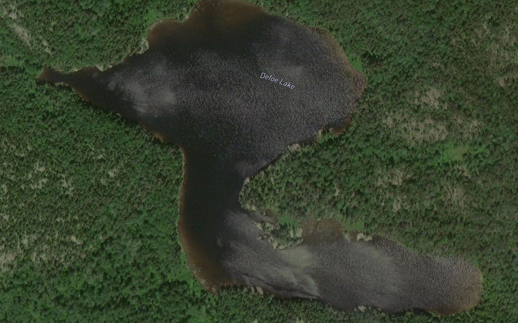 Satellite map of the Defoe Lake