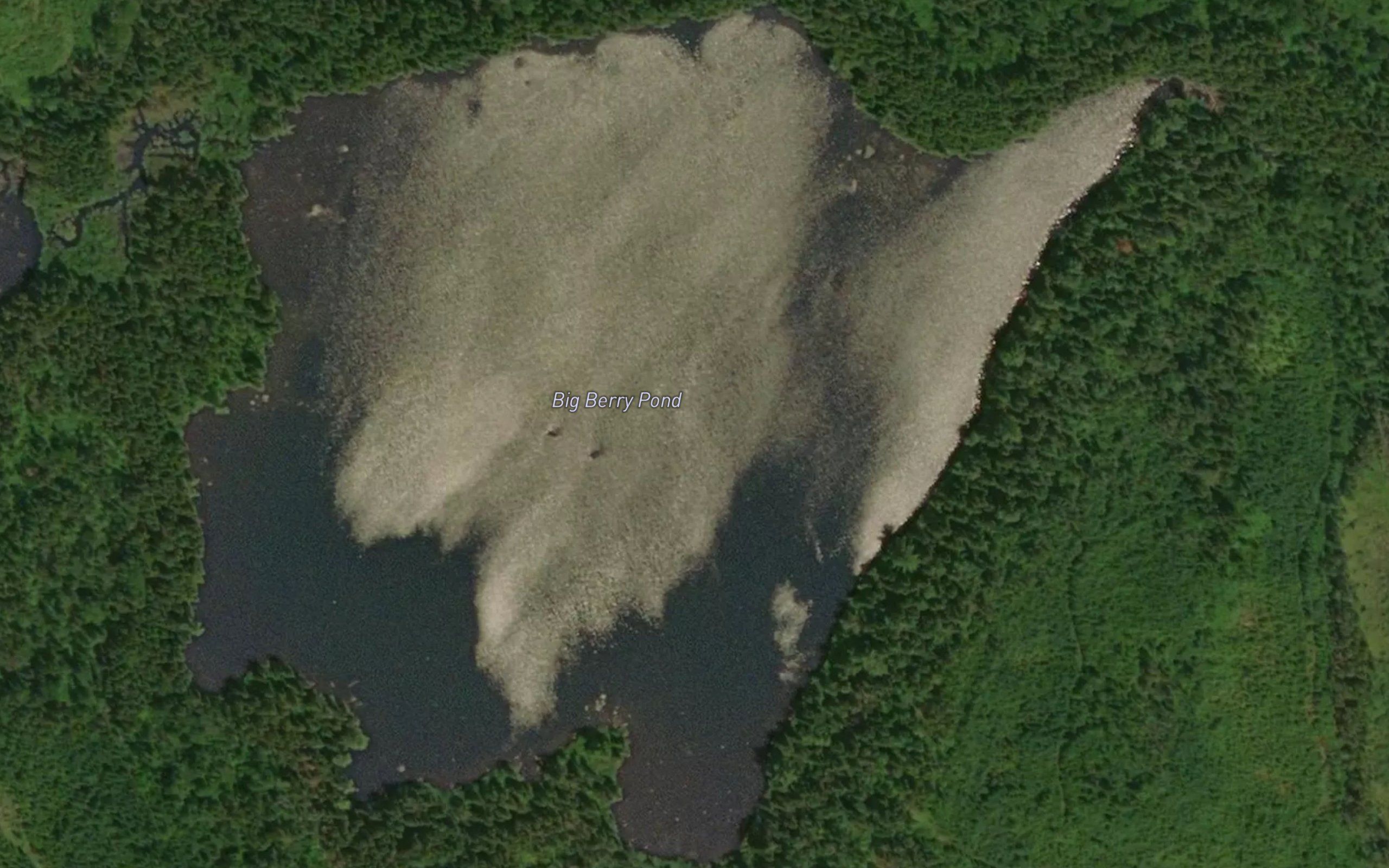 Big Berry Pond