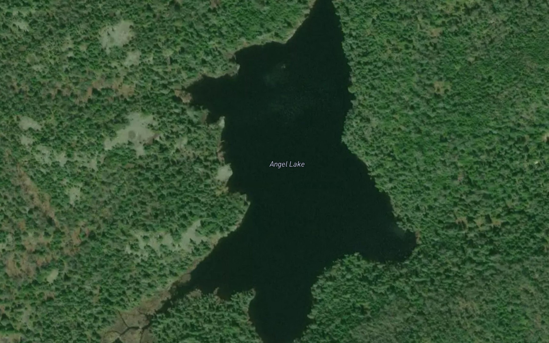 Satellite map of the Angel Lake