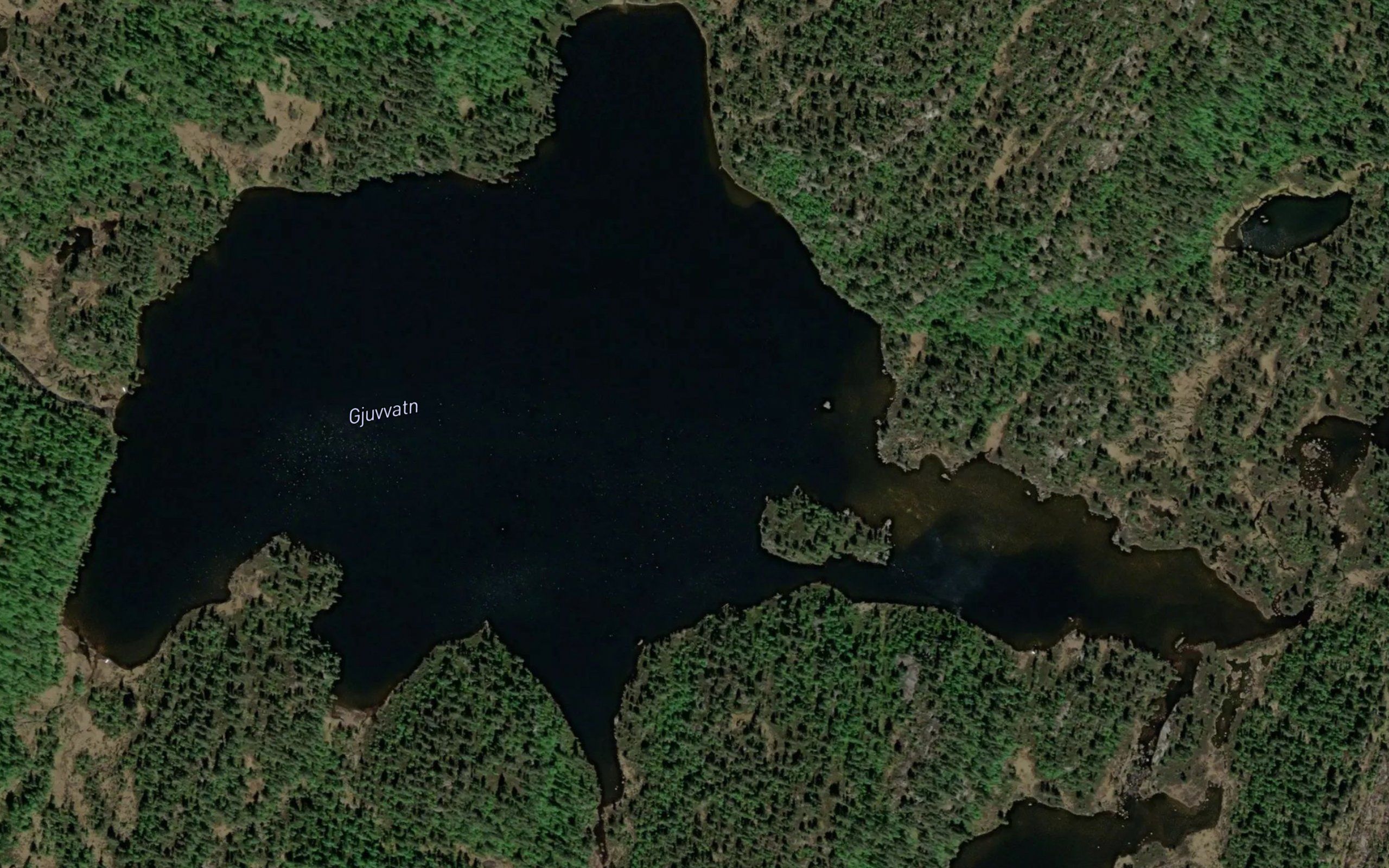 Gjuvatn