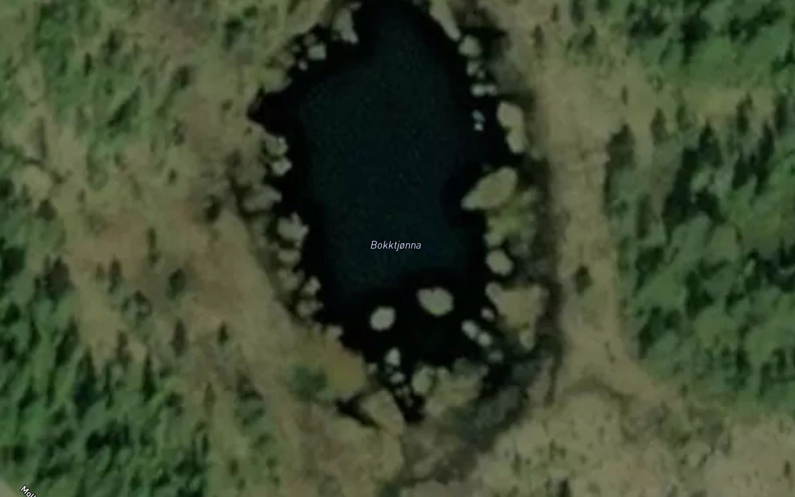 Bokktjonna