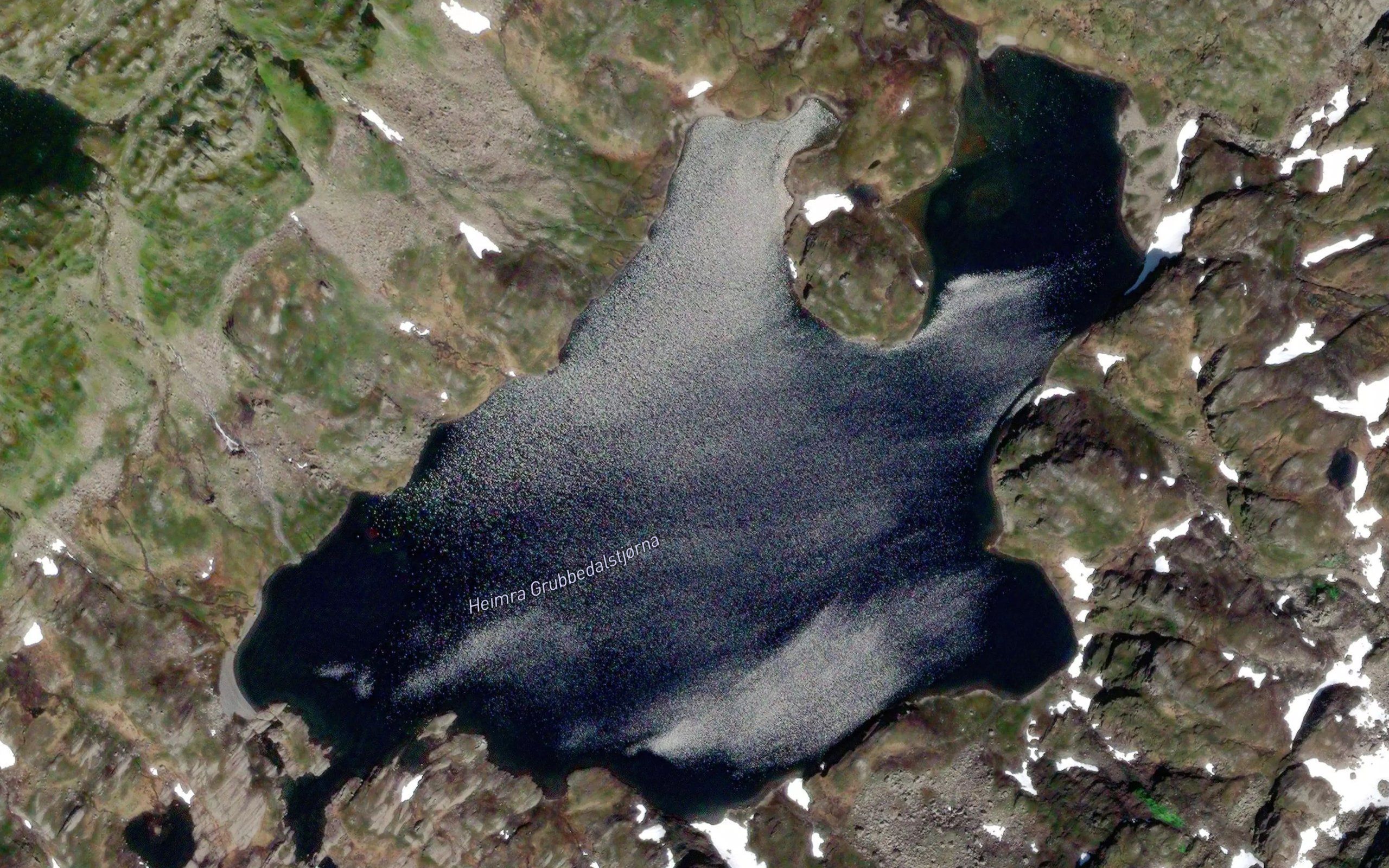 Grubbedalstjorn,heimre