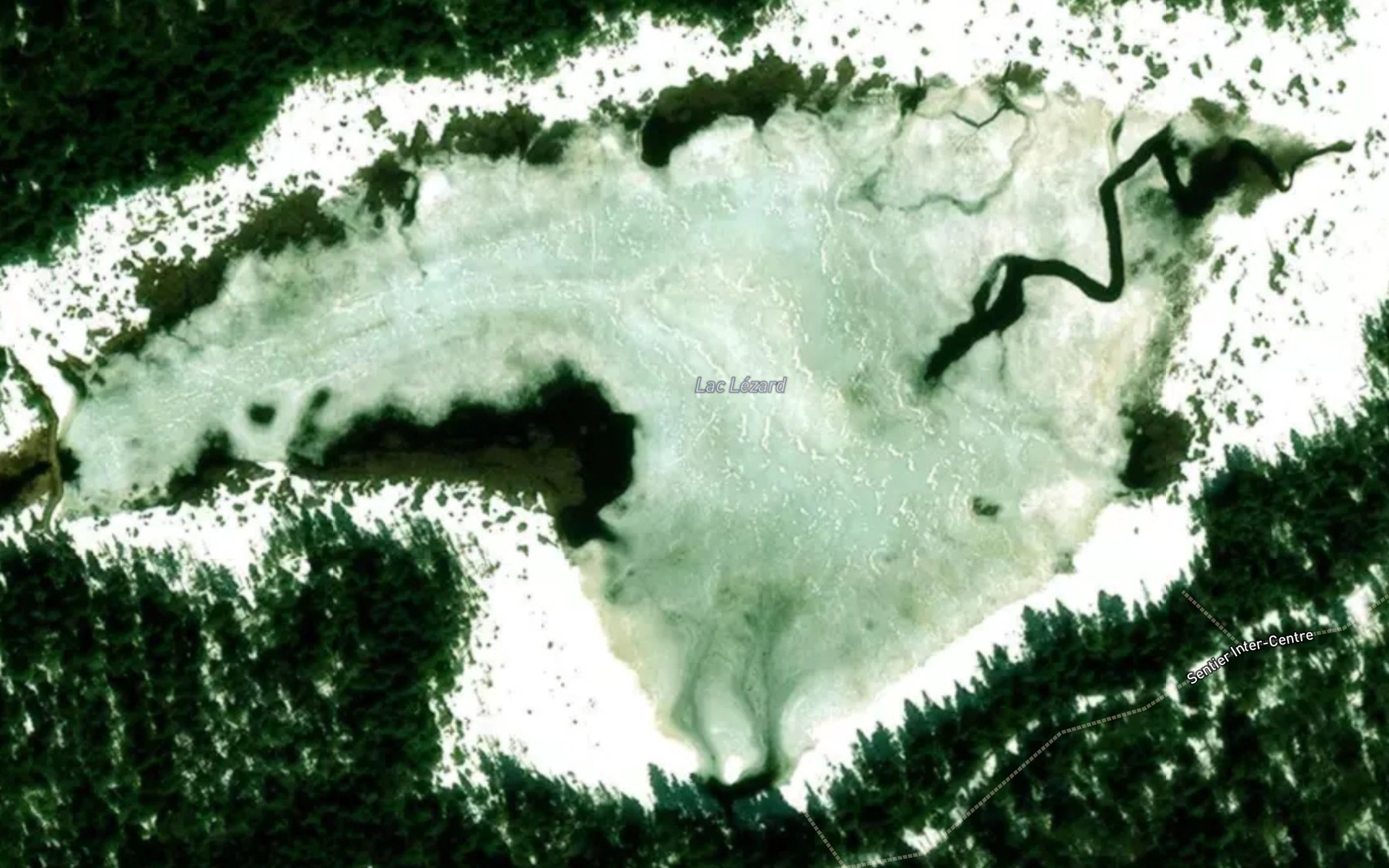 Satellite map of the Lac Lezard