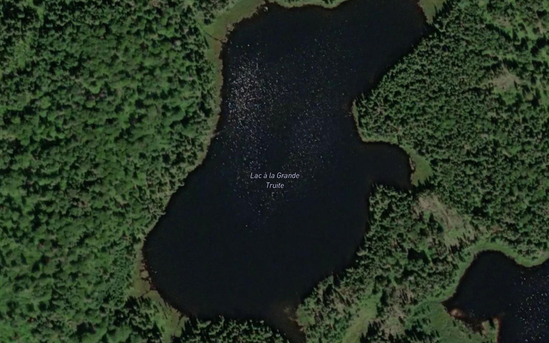Satellite map of the Lac a la Grande Truite