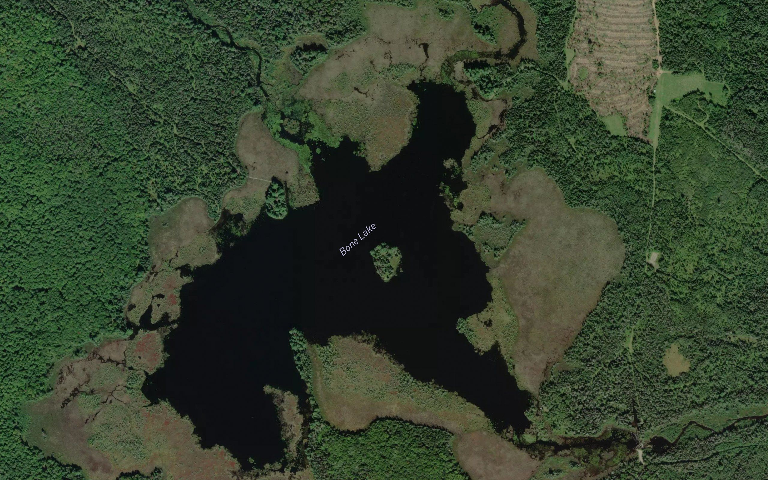 Bone Lake
