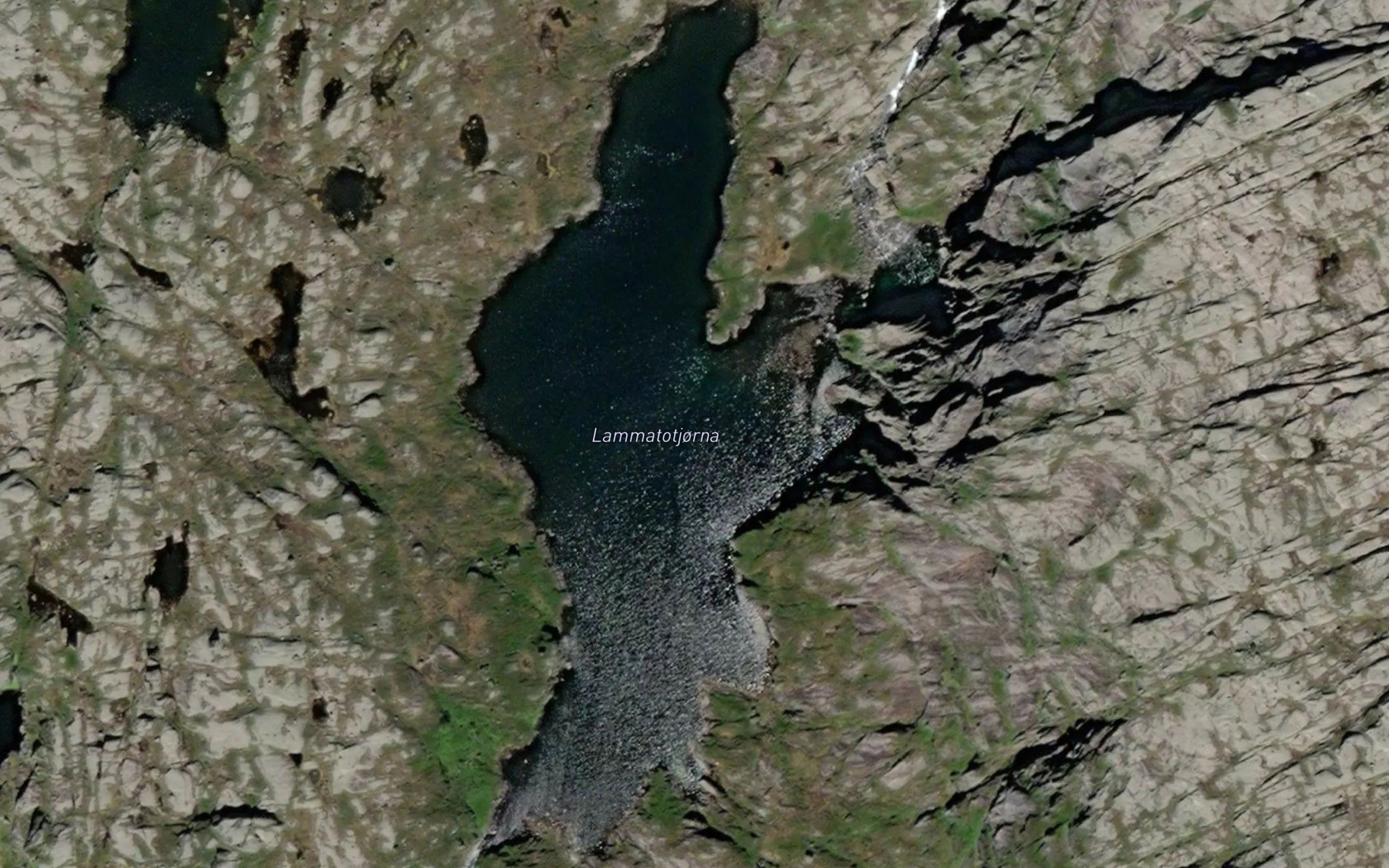 Lammatotjorna