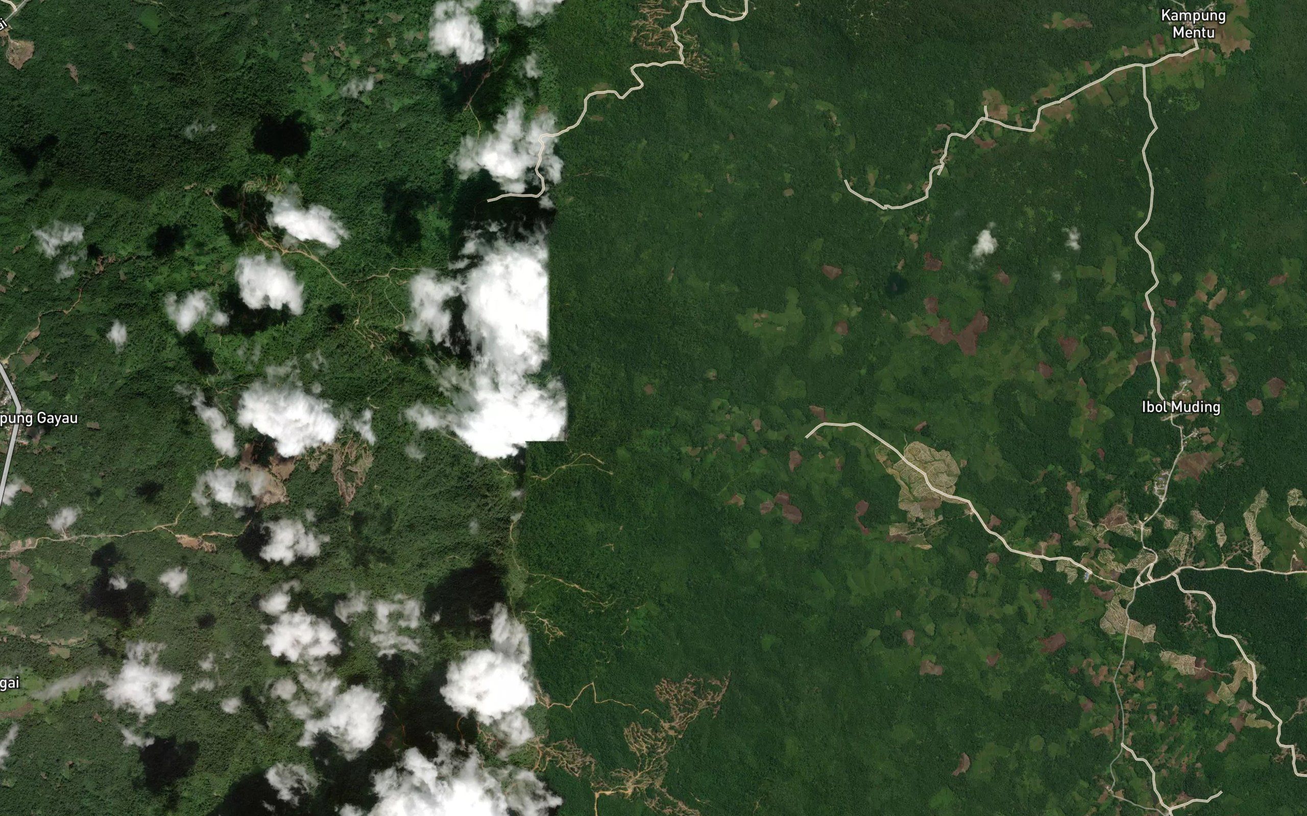 Sungai Nyibongarong