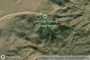 Live Oak Spring