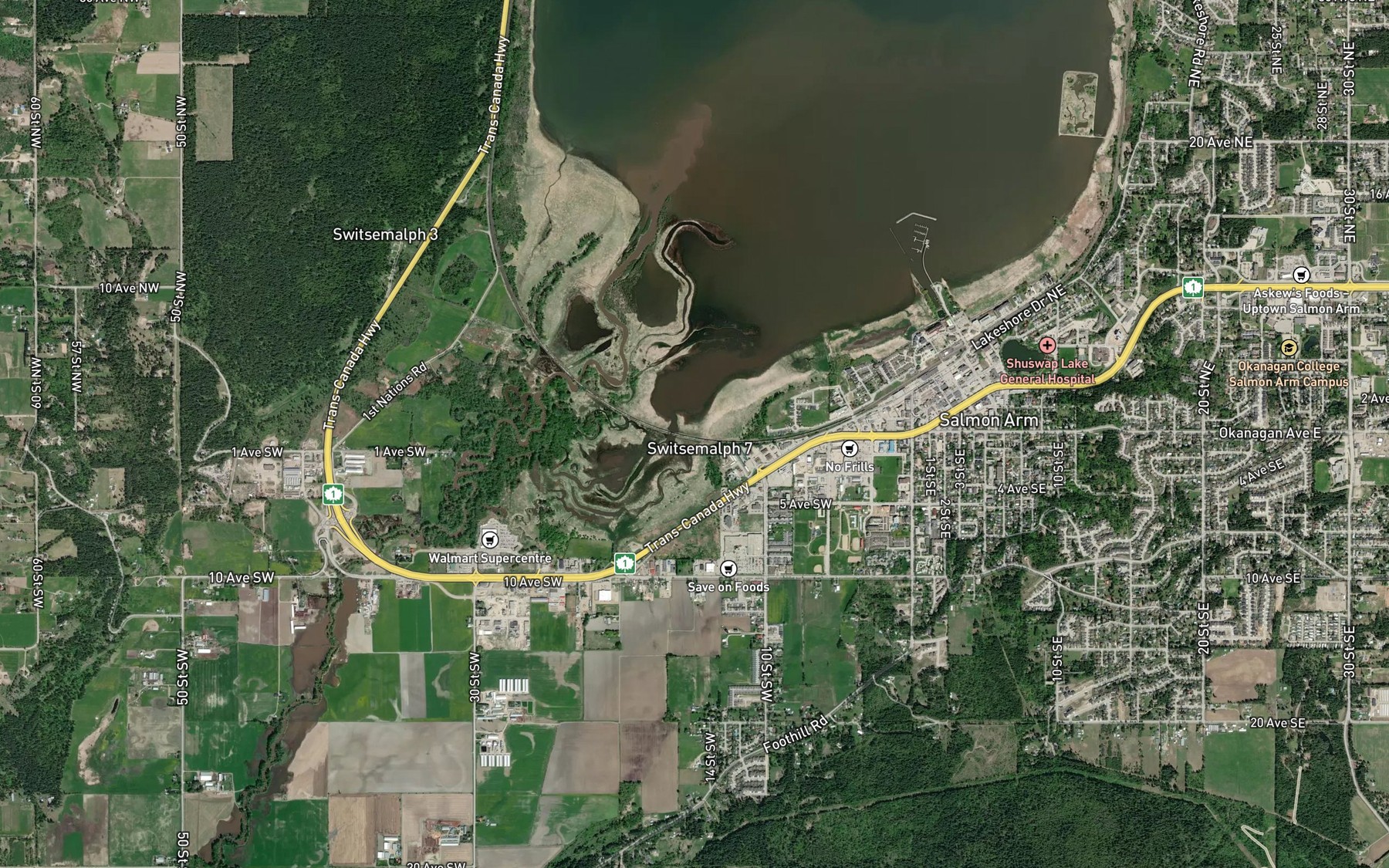 Satellite map of the Salmon River