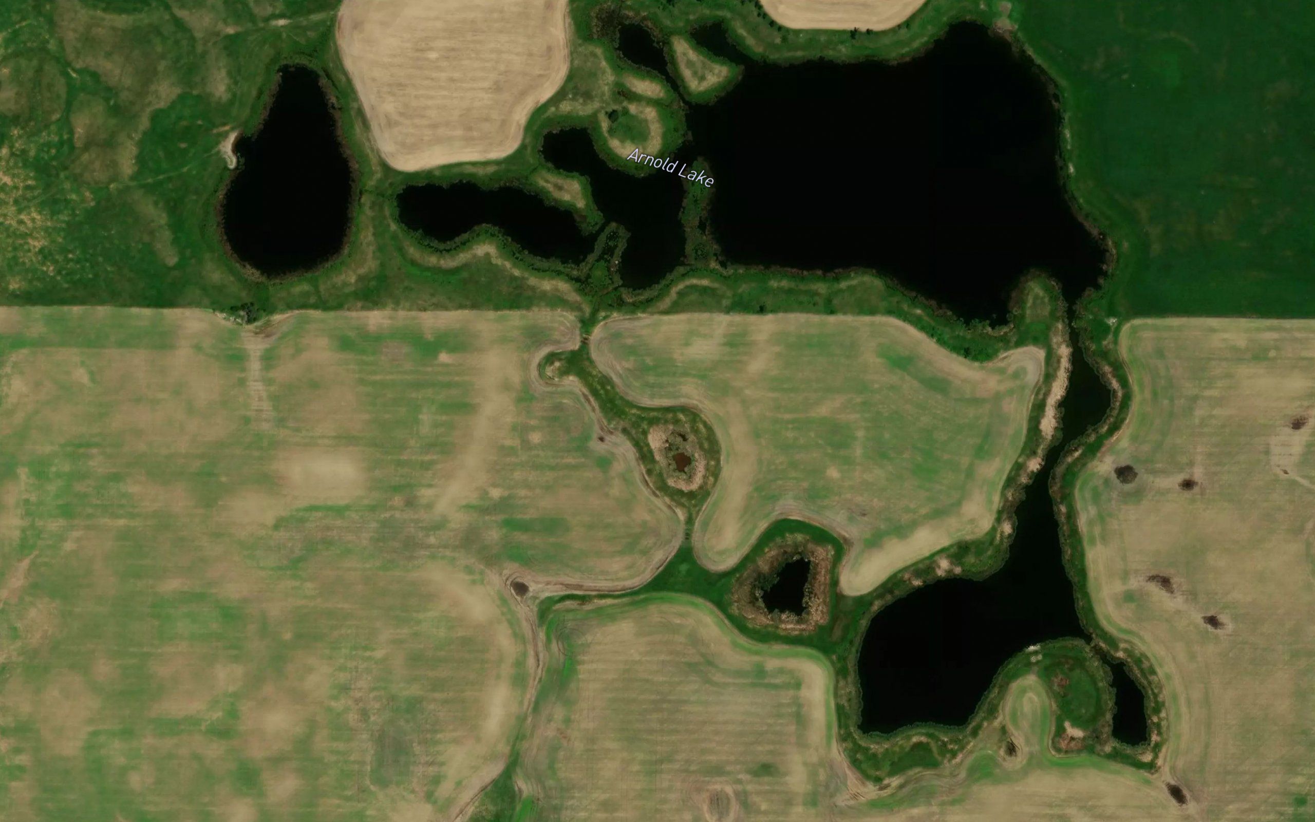 Arnold Lake