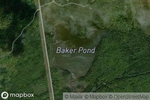 Baker Pond