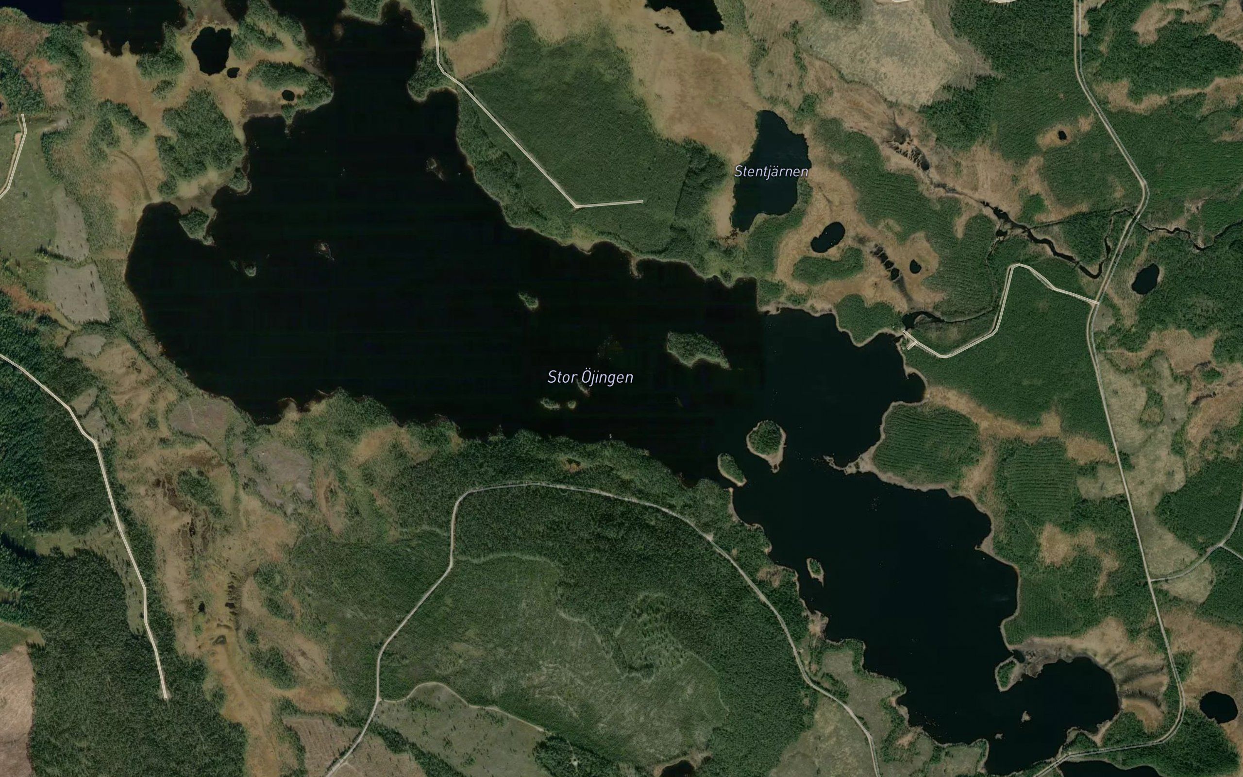 Stora Ojingen